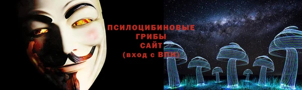 ешки Аркадак