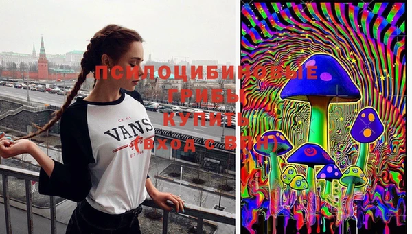 ешки Аркадак