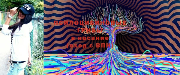 синтетический гашиш Арсеньев