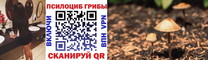 даркнет сайт  Чудово  Галлюциногенные грибы ЛСД 